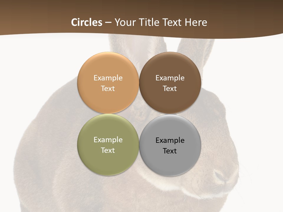 Whiskers Playful Brown PowerPoint Template