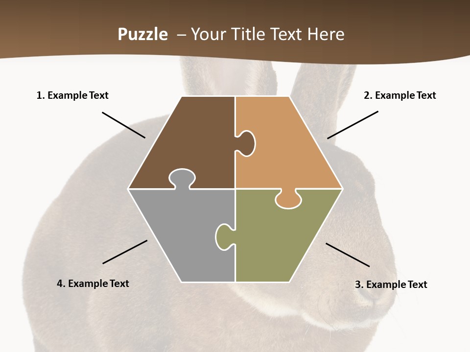 Whiskers Playful Brown PowerPoint Template