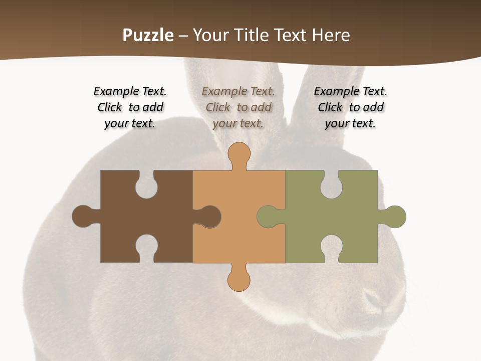 Whiskers Playful Brown PowerPoint Template