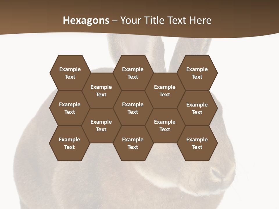 Whiskers Playful Brown PowerPoint Template