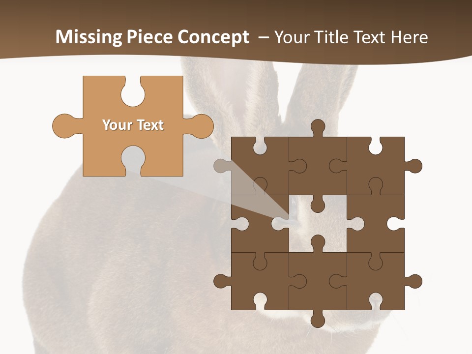 Whiskers Playful Brown PowerPoint Template