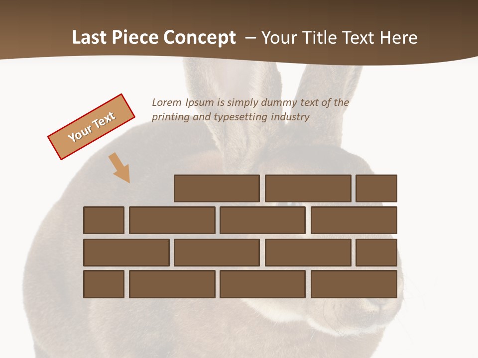 Whiskers Playful Brown PowerPoint Template