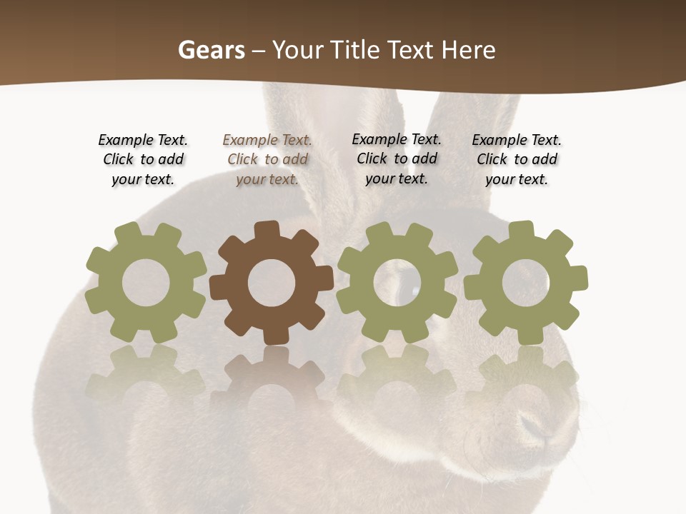 Whiskers Playful Brown PowerPoint Template