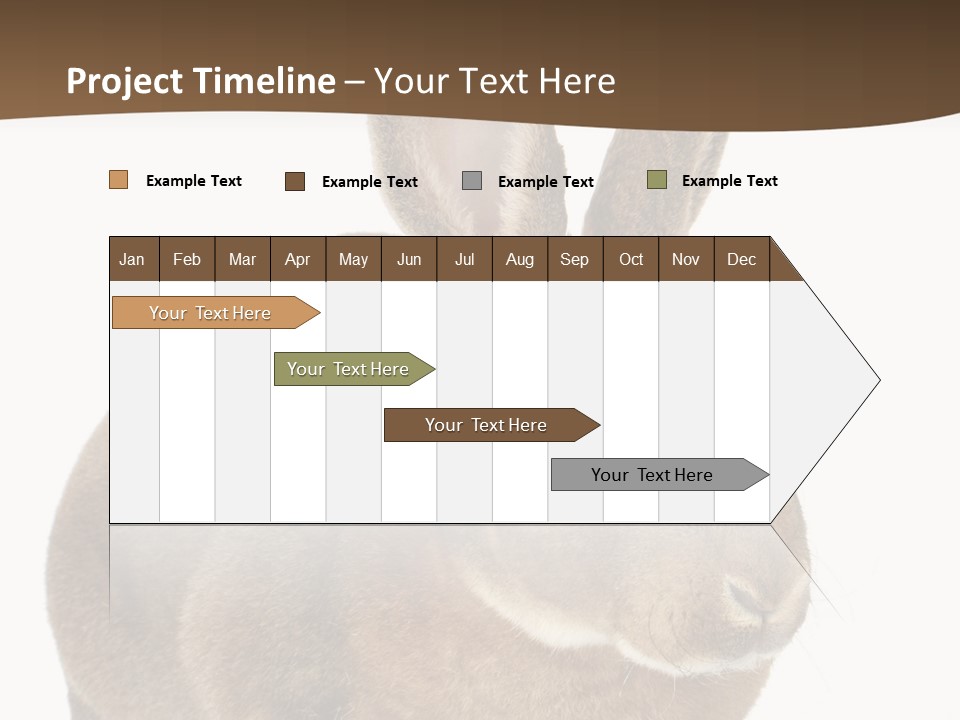 Whiskers Playful Brown PowerPoint Template
