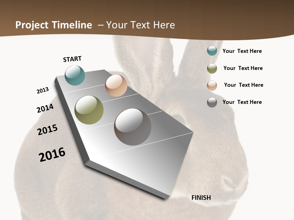 Whiskers Playful Brown PowerPoint Template