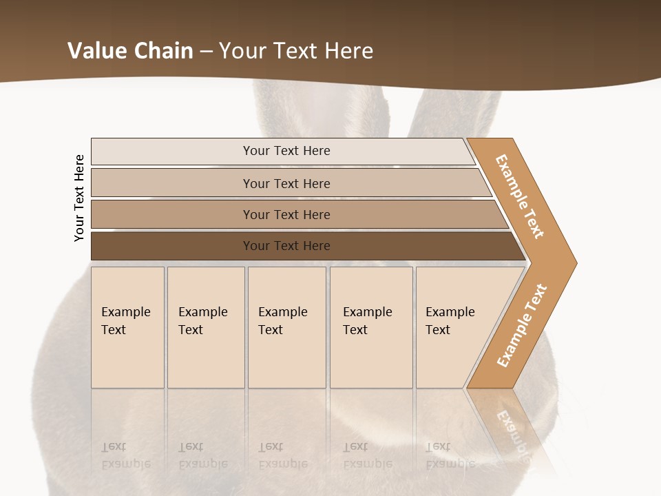 Whiskers Playful Brown PowerPoint Template