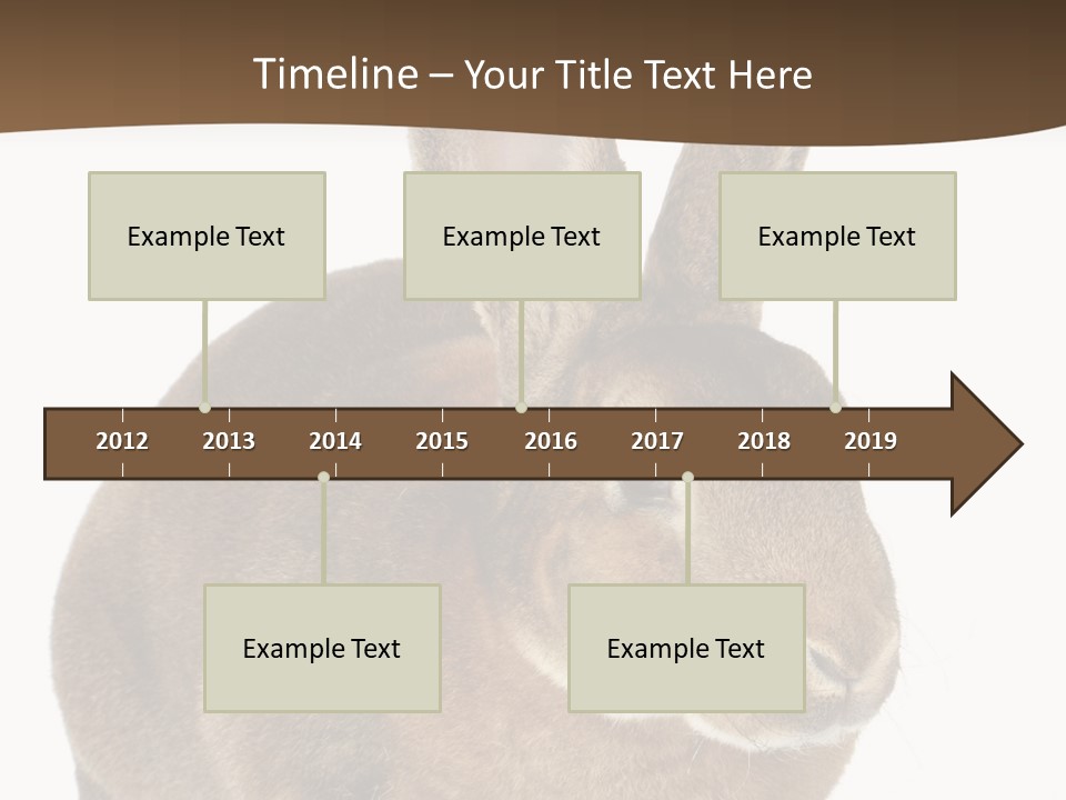 Whiskers Playful Brown PowerPoint Template