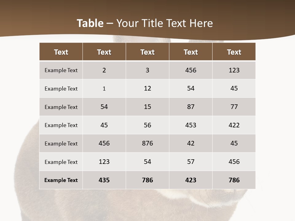 Whiskers Playful Brown PowerPoint Template