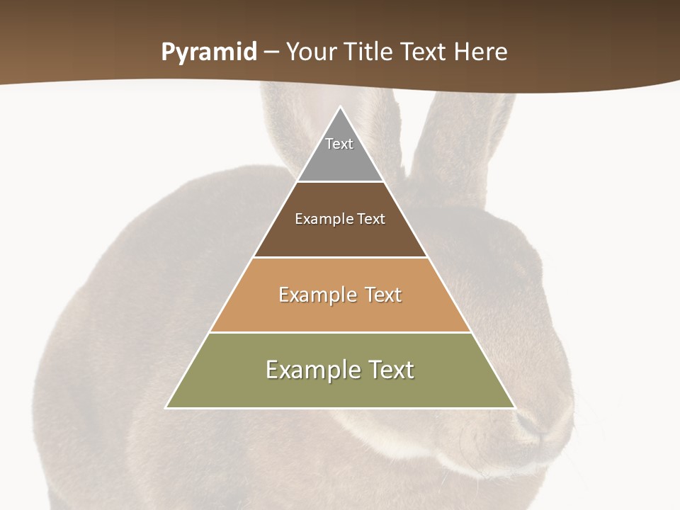 Whiskers Playful Brown PowerPoint Template