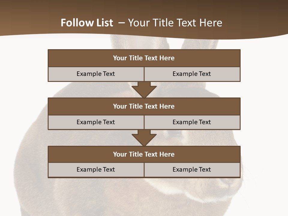 Whiskers Playful Brown PowerPoint Template