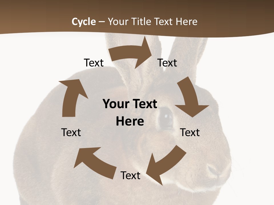 Whiskers Playful Brown PowerPoint Template