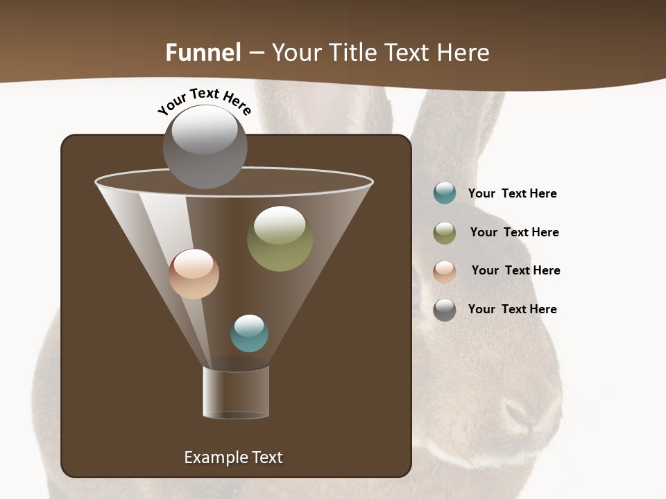 Whiskers Playful Brown PowerPoint Template