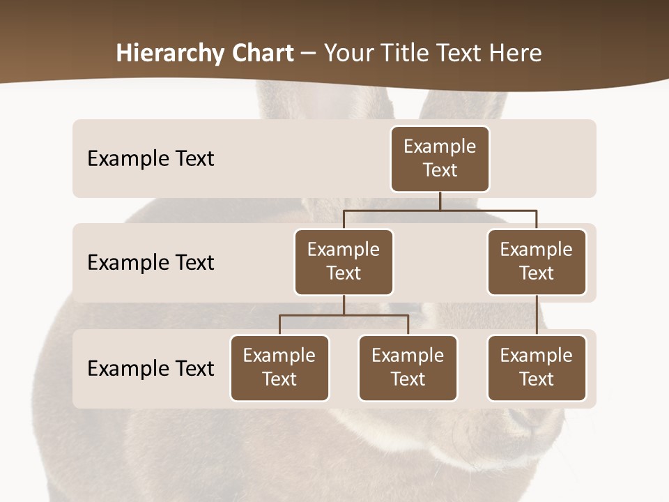 Whiskers Playful Brown PowerPoint Template