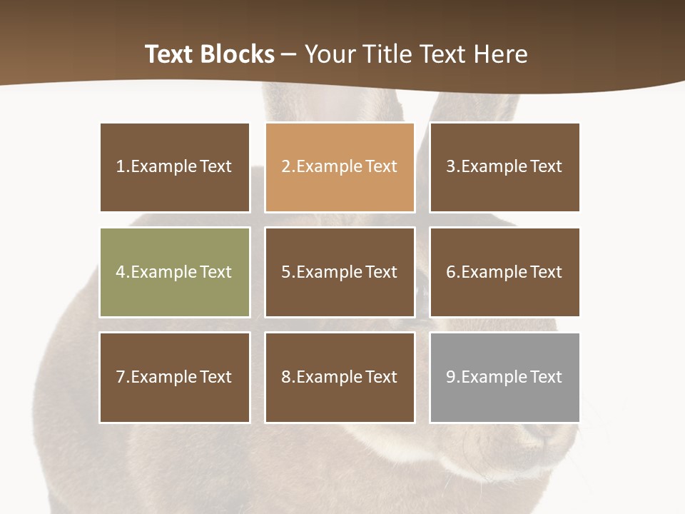 Whiskers Playful Brown PowerPoint Template