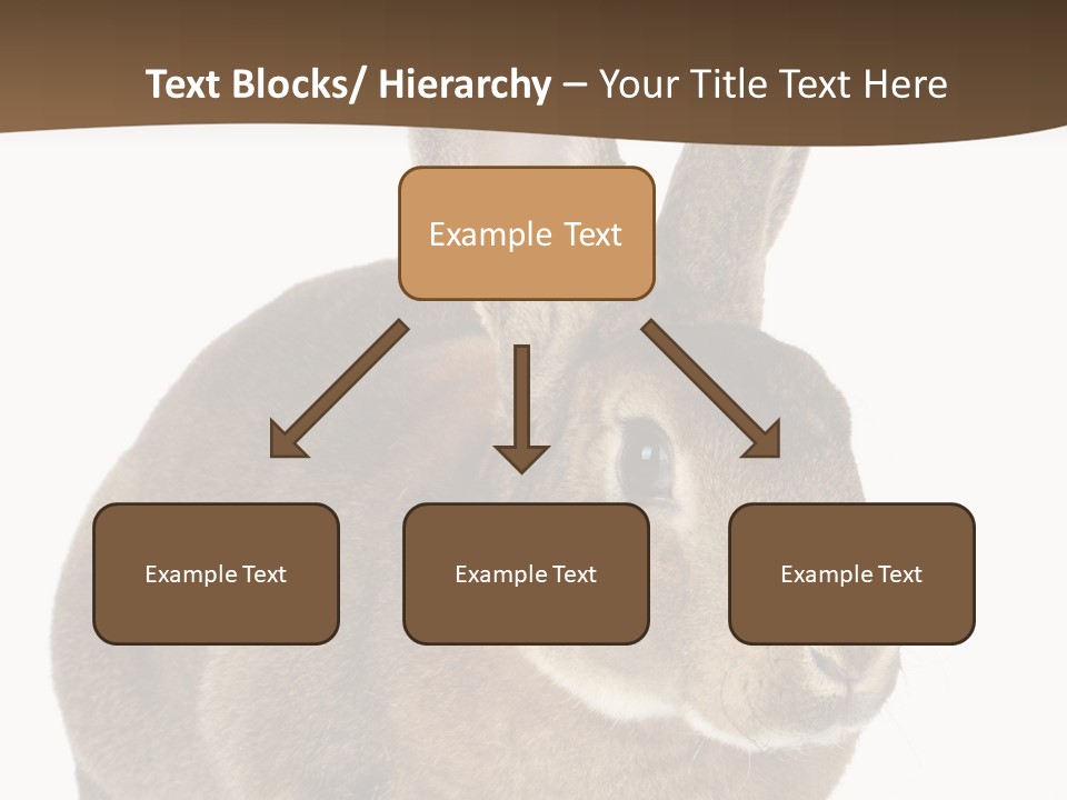 Whiskers Playful Brown PowerPoint Template