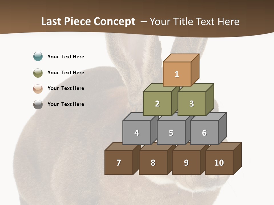 Whiskers Playful Brown PowerPoint Template