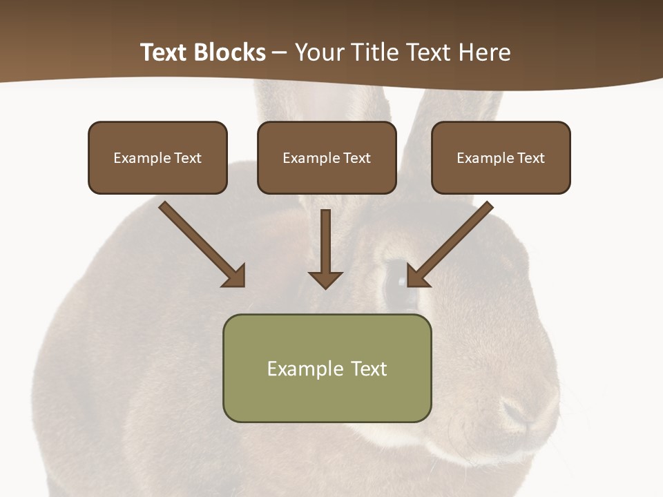 Whiskers Playful Brown PowerPoint Template