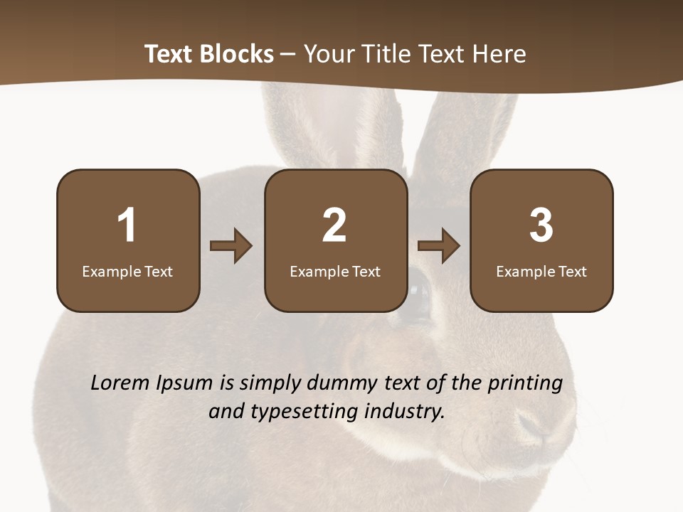 Whiskers Playful Brown PowerPoint Template