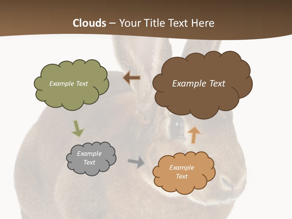 Whiskers Playful Brown PowerPoint Template