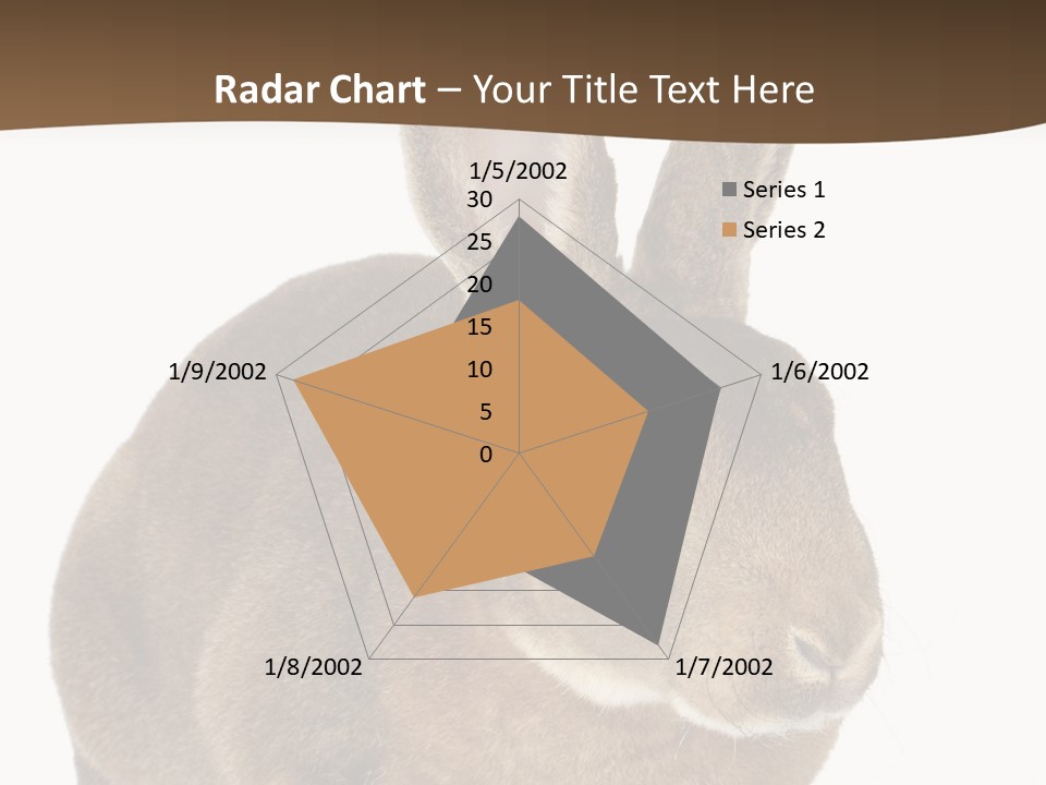 Whiskers Playful Brown PowerPoint Template
