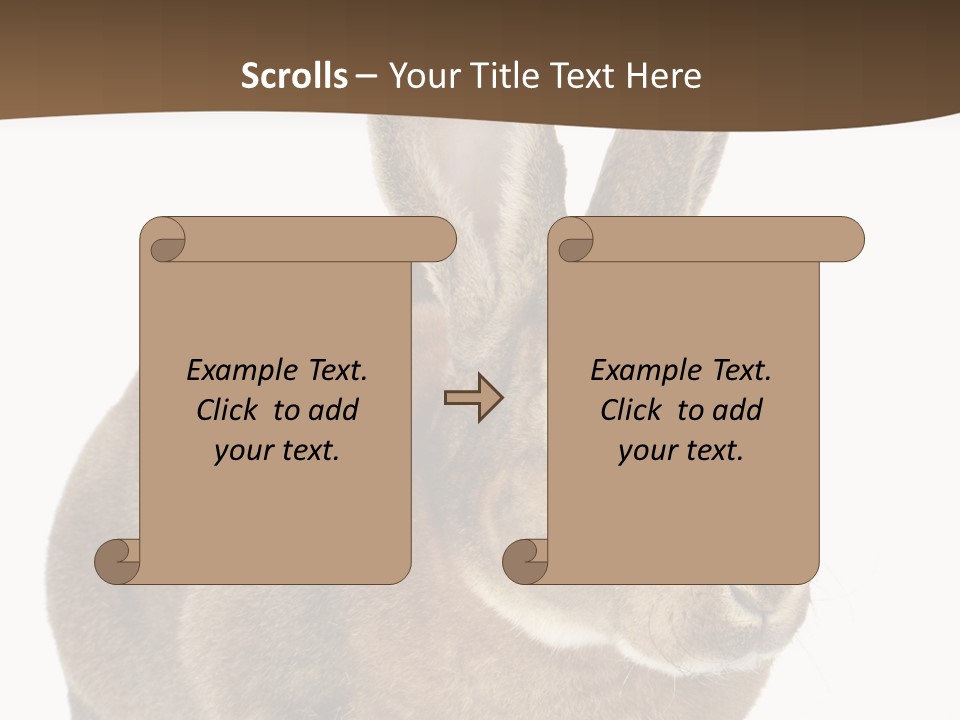 Whiskers Playful Brown PowerPoint Template