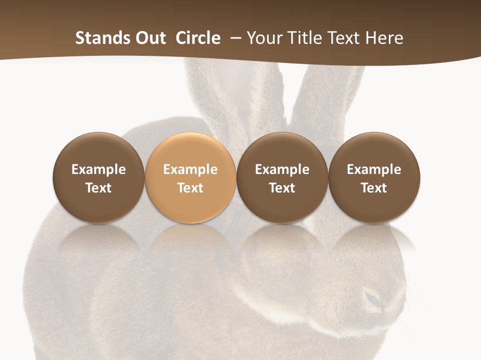 Whiskers Playful Brown PowerPoint Template