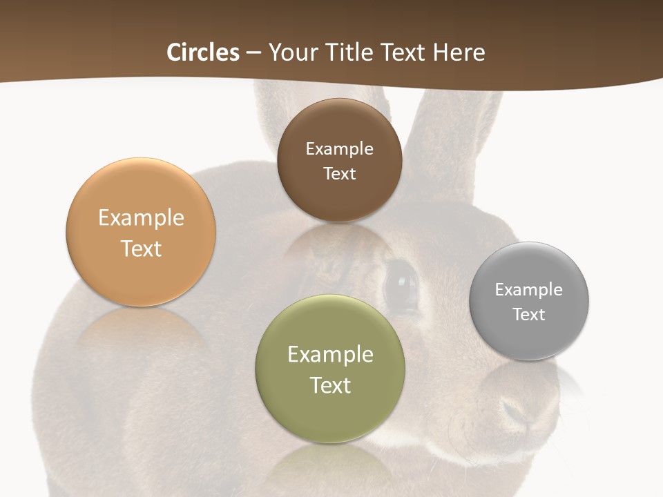 Whiskers Playful Brown PowerPoint Template