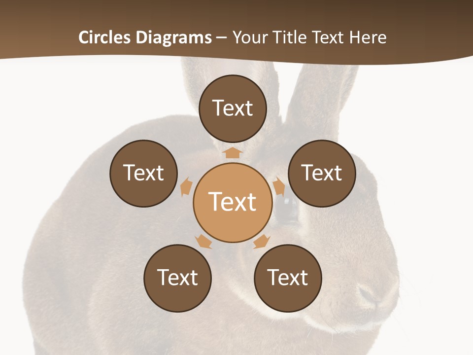 Whiskers Playful Brown PowerPoint Template