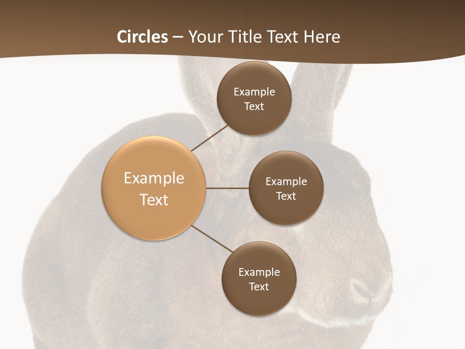 Whiskers Playful Brown PowerPoint Template