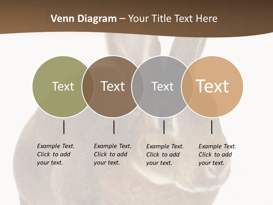 Whiskers Playful Brown PowerPoint Template