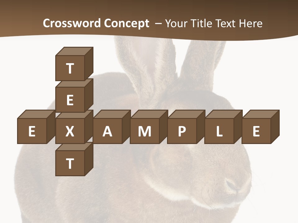 Whiskers Playful Brown PowerPoint Template