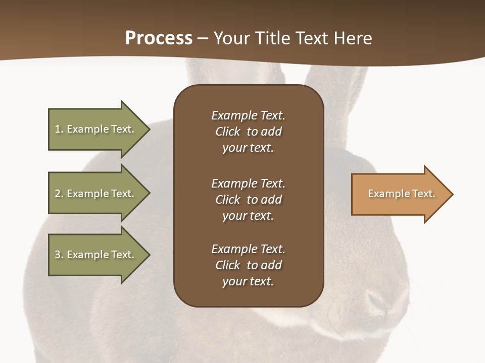 Whiskers Playful Brown PowerPoint Template