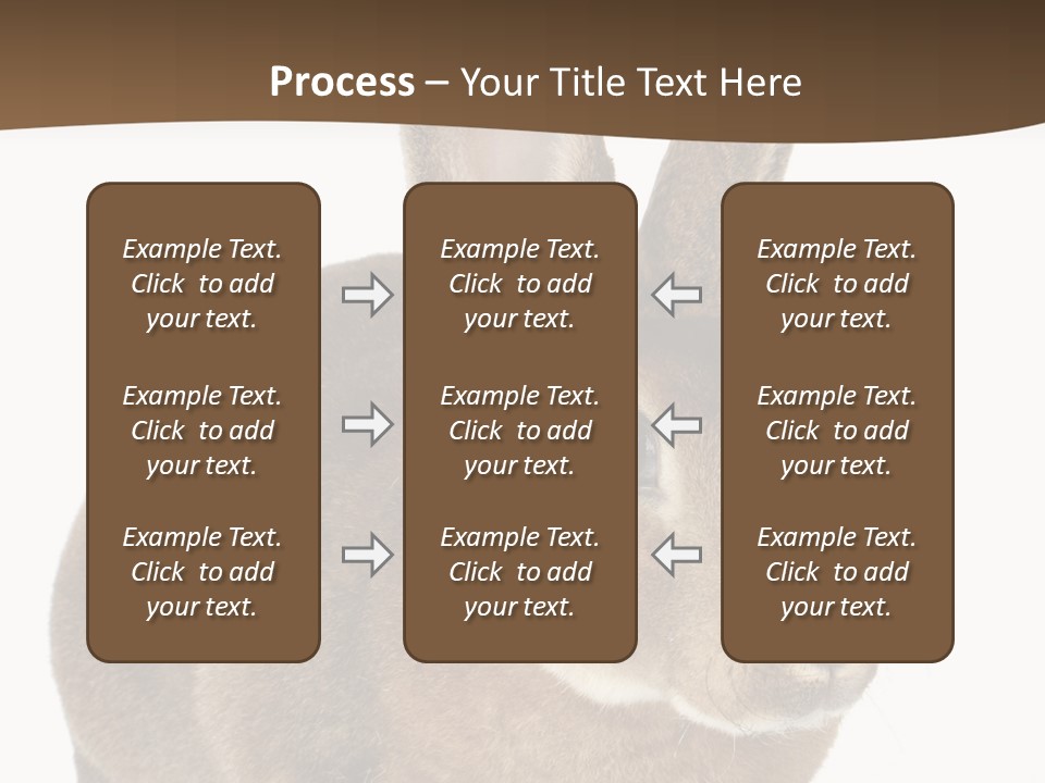 Whiskers Playful Brown PowerPoint Template