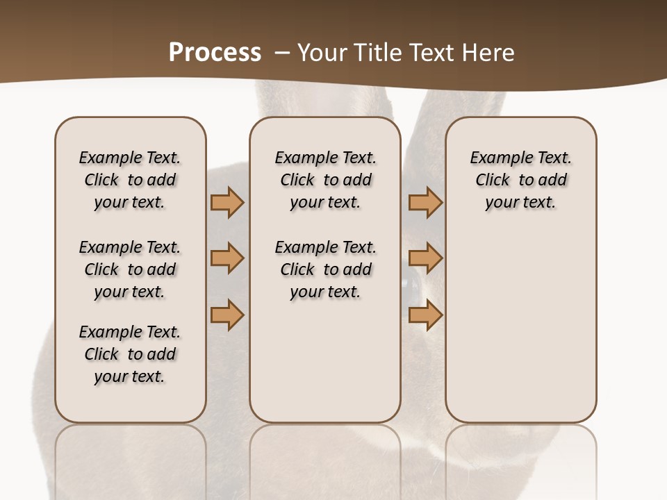 Whiskers Playful Brown PowerPoint Template