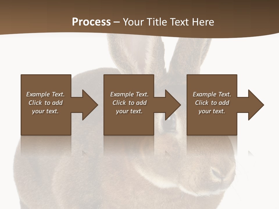 Whiskers Playful Brown PowerPoint Template
