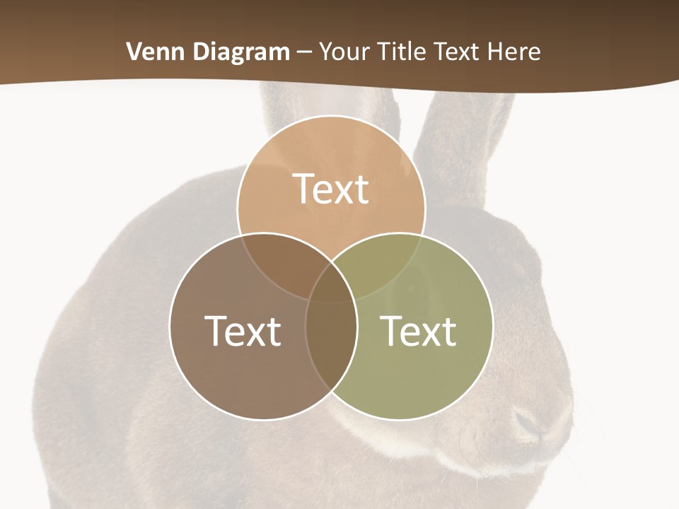 Whiskers Playful Brown PowerPoint Template