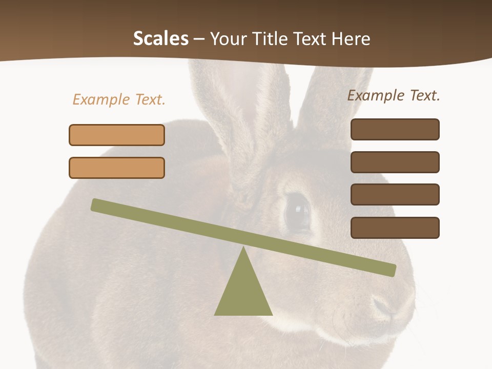 Whiskers Playful Brown PowerPoint Template