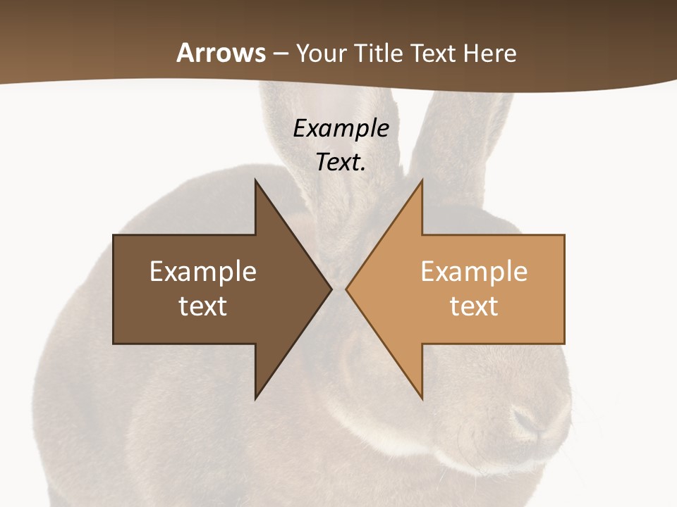 Whiskers Playful Brown PowerPoint Template