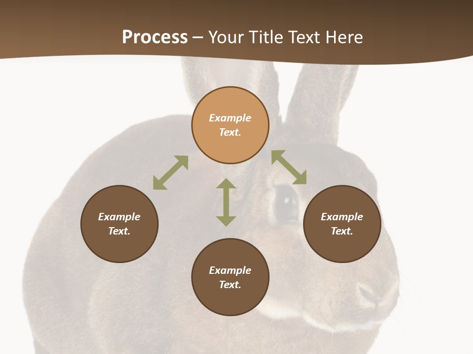 Whiskers Playful Brown PowerPoint Template