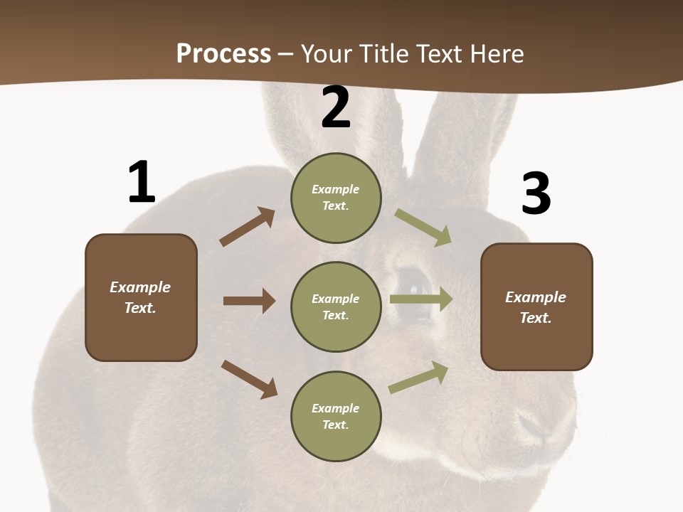 Whiskers Playful Brown PowerPoint Template