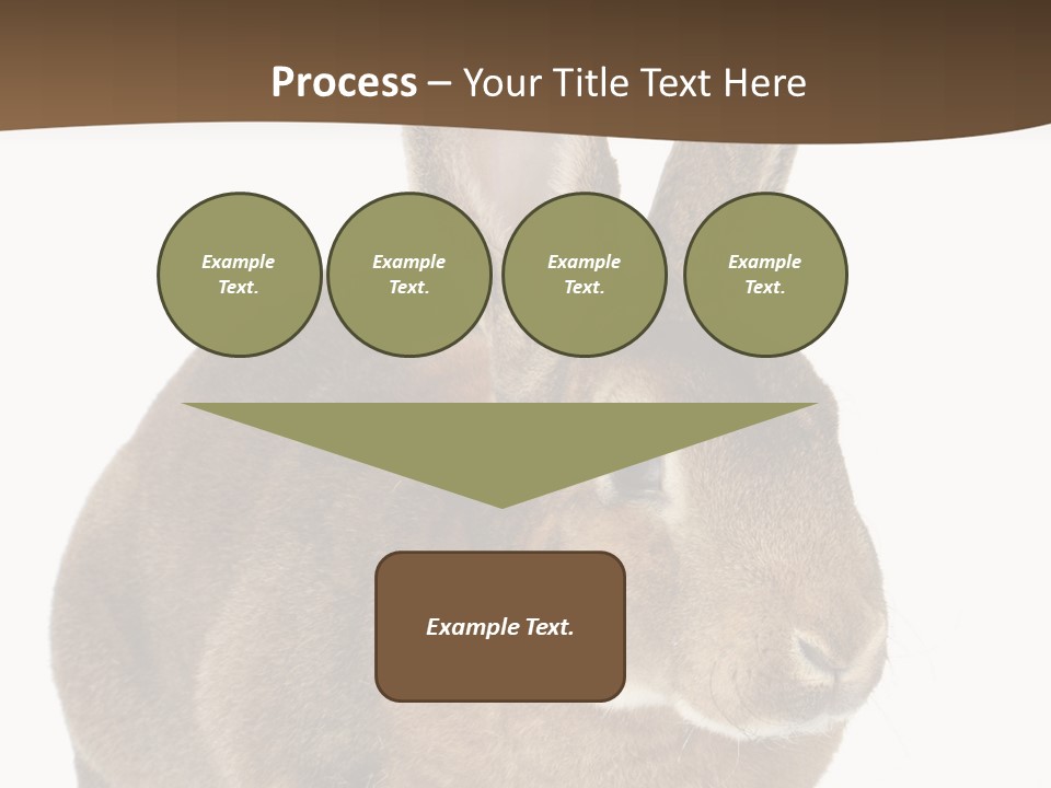 Whiskers Playful Brown PowerPoint Template