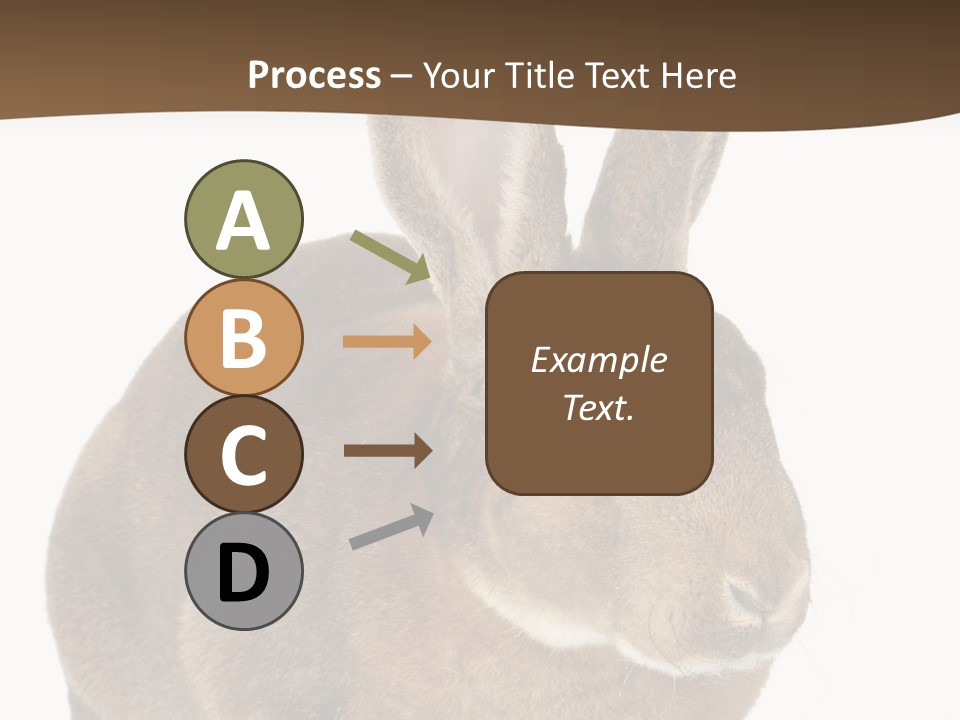 Whiskers Playful Brown PowerPoint Template