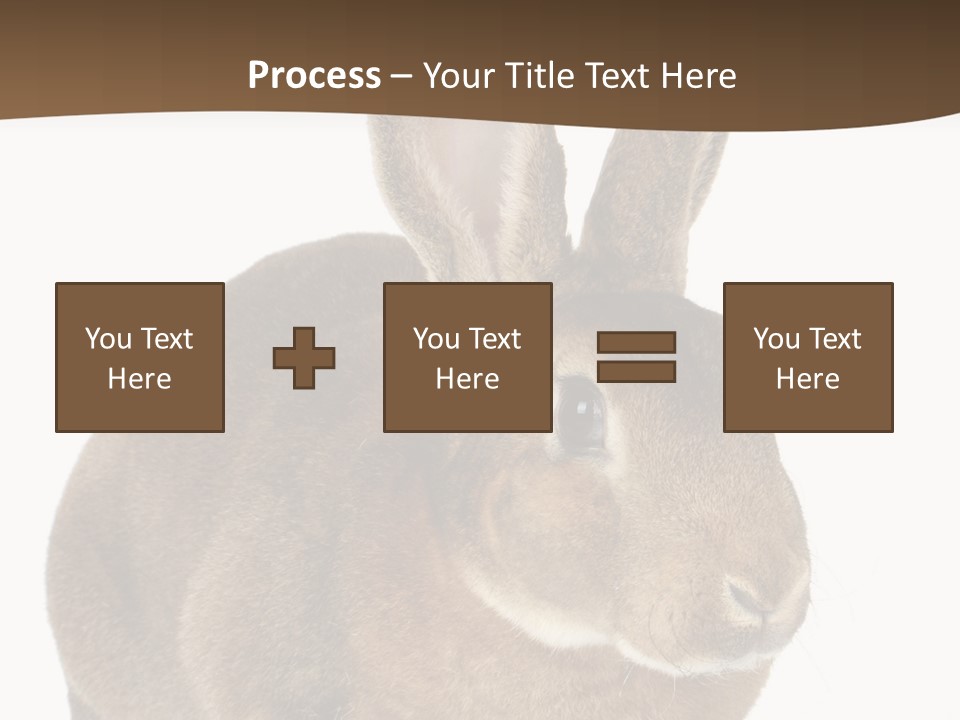 Whiskers Playful Brown PowerPoint Template
