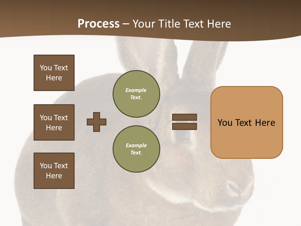 Whiskers Playful Brown PowerPoint Template