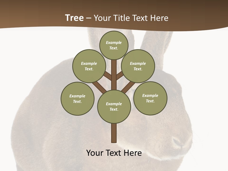 Whiskers Playful Brown PowerPoint Template