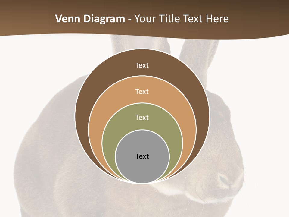 Whiskers Playful Brown PowerPoint Template