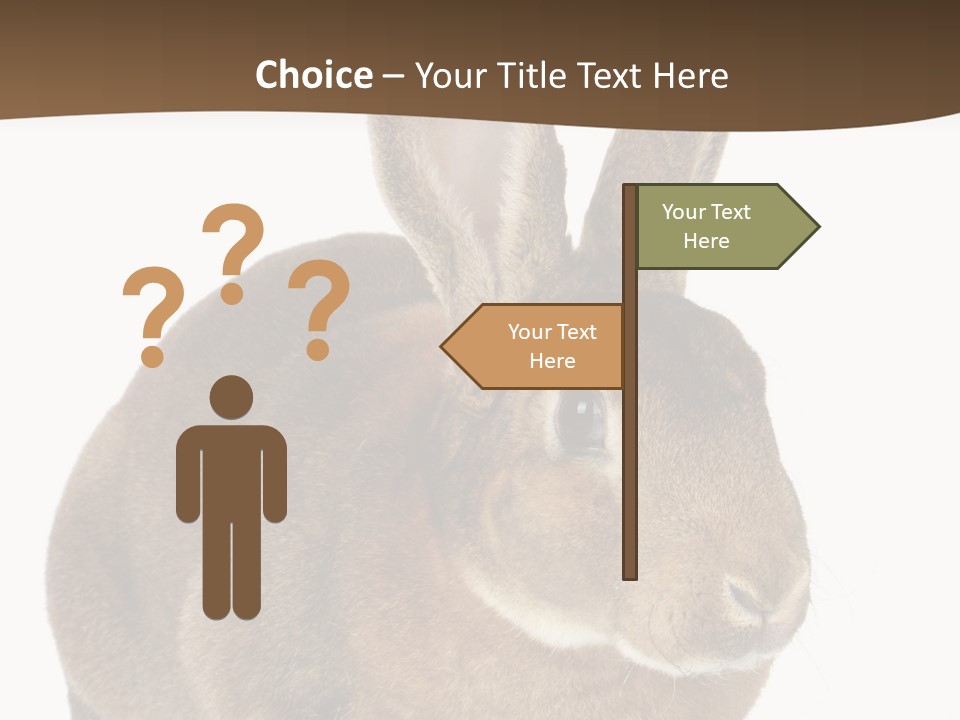 Whiskers Playful Brown PowerPoint Template