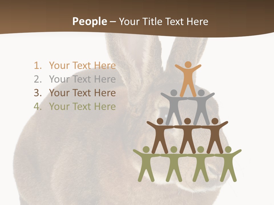 Whiskers Playful Brown PowerPoint Template