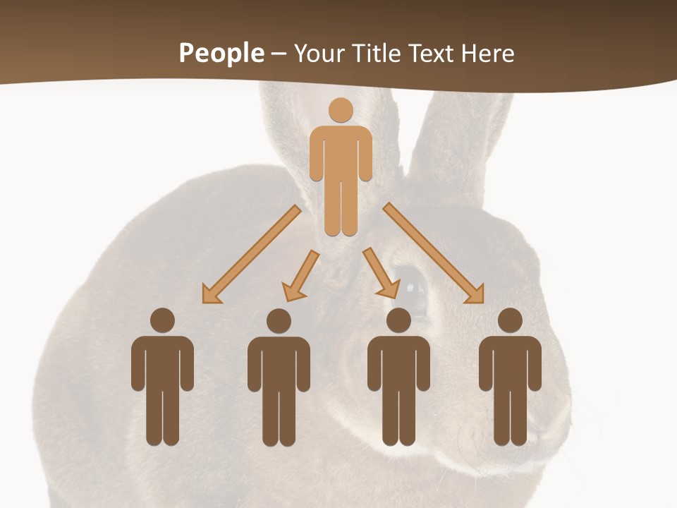 Whiskers Playful Brown PowerPoint Template