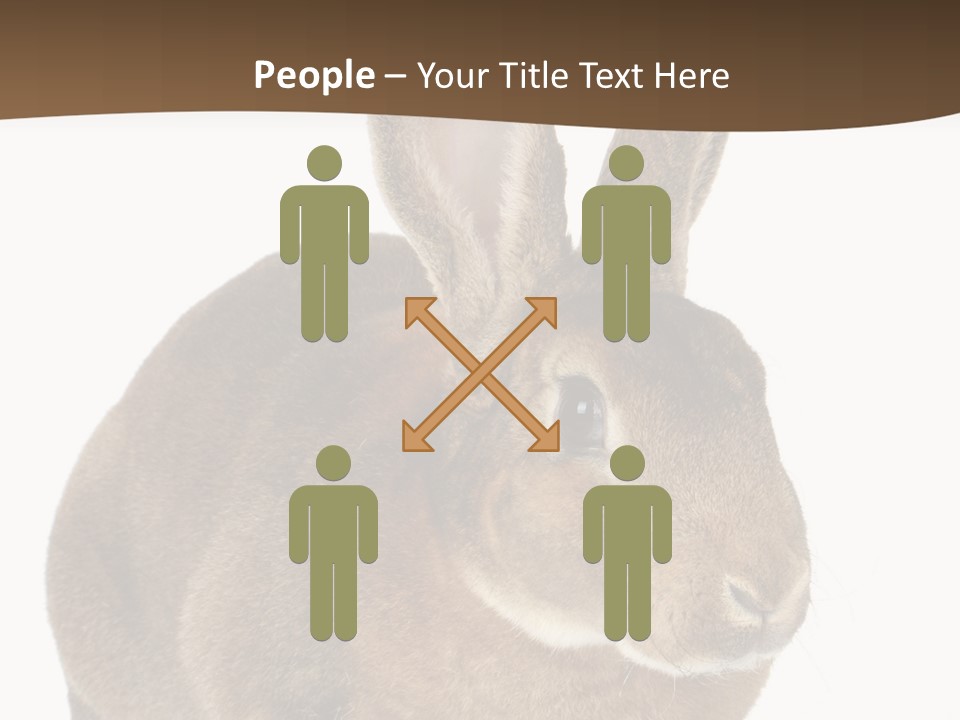 Whiskers Playful Brown PowerPoint Template